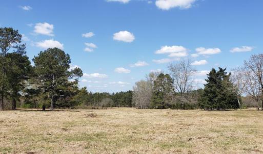 Photo #24 of 716 Augusta, Edgefield, SC 30.3 acres