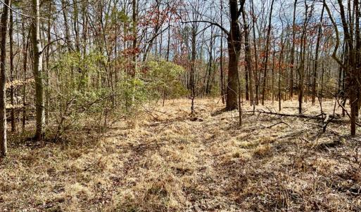 Photo #5 of 360 East Patrick Henry Highway, Crewe, VA 19.2 acres