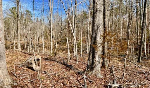 Photo #6 of 360 East Patrick Henry Highway, Crewe, VA 19.2 acres