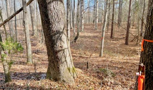 Photo #7 of 360 East Patrick Henry Highway, Crewe, VA 19.2 acres