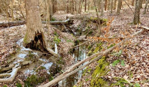 Photo #8 of 360 East Patrick Henry Highway, Crewe, VA 19.2 acres