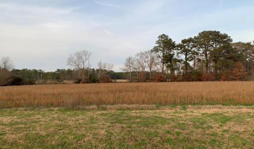Photo #10 of Lot 1 WATERSIDE DR, NEW CHURCH, VA 1.6 acres