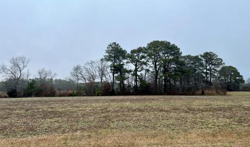 Photo #13 of Lot 1 WATERSIDE DR, NEW CHURCH, VA 1.6 acres