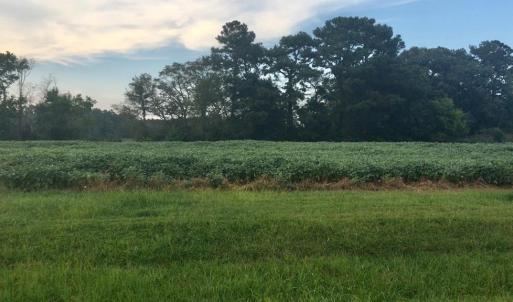 Photo #8 of Lot 1 WATERSIDE DR, NEW CHURCH, VA 1.6 acres