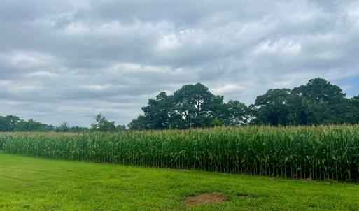 Photo #2 of Lot 2 WATERSIDE DR, NEW CHURCH, VA 1.6 acres