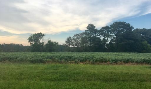 Photo #6 of Lot 2 WATERSIDE DR, NEW CHURCH, VA 1.6 acres