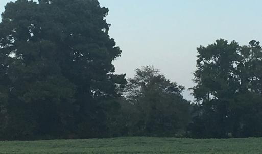 Photo #9 of Lot 3 WATERSIDE DR, NEW CHURCH, VA 2.5 acres