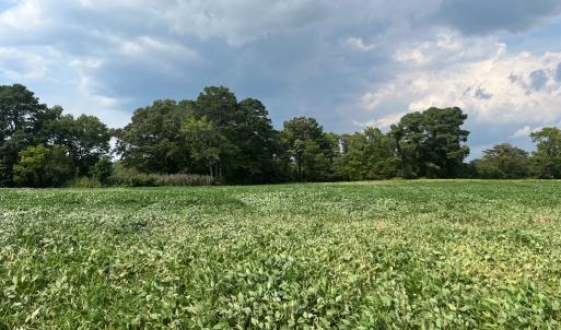 Photo #6 of Lot 3 WATERSIDE DR, NEW CHURCH, VA 2.5 acres