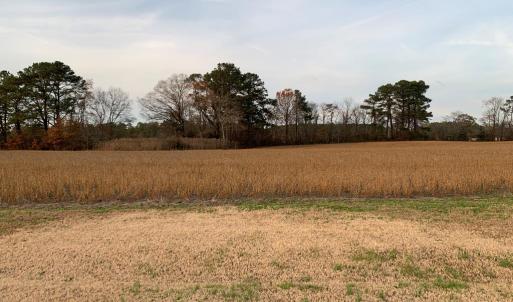 Photo #7 of Lot 3 WATERSIDE DR, NEW CHURCH, VA 2.5 acres