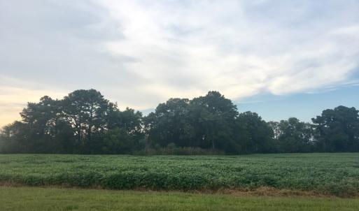 Photo #8 of Lot 3 WATERSIDE DR, NEW CHURCH, VA 2.5 acres