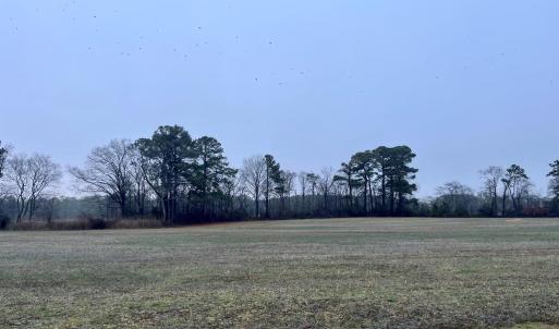 Photo #10 of Lot 4 WATERSIDE DR, NEW CHURCH, VA 2.1 acres