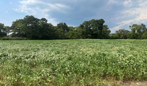 Photo #6 of Lot 4 WATERSIDE DR, NEW CHURCH, VA 2.1 acres