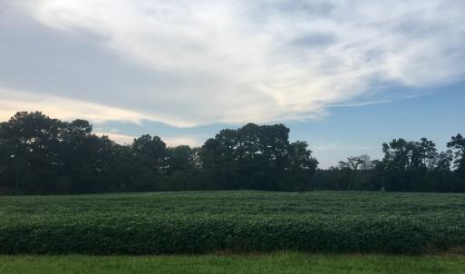 Photo #7 of Lot 4 WATERSIDE DR, NEW CHURCH, VA 2.1 acres