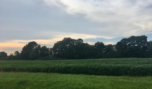 Photo #8 of Lot 4 WATERSIDE DR, NEW CHURCH, VA 2.1 acres