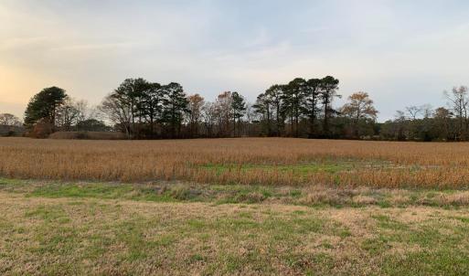 Photo #9 of Lot 4 WATERSIDE DR, NEW CHURCH, VA 2.1 acres