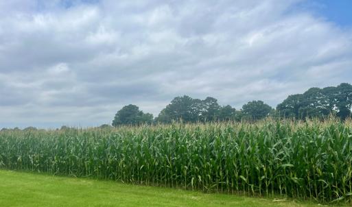 Photo #2 of Lot 5 WATERSIDE DR, NEW CHURCH, VA 3.1 acres