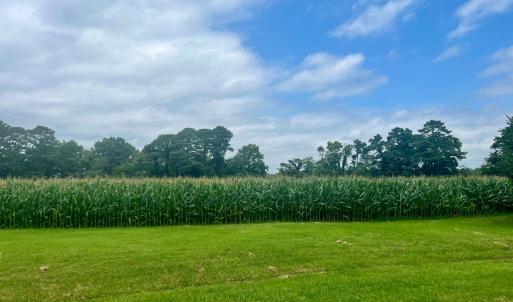 Photo #3 of Lot 5 WATERSIDE DR, NEW CHURCH, VA 3.1 acres