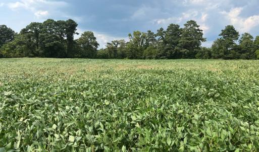 Photo #7 of Lot 5 WATERSIDE DR, NEW CHURCH, VA 3.1 acres