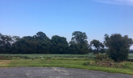 Photo #8 of Lot 7 WATERSIDE DR, NEW CHURCH, VA 5.1 acres