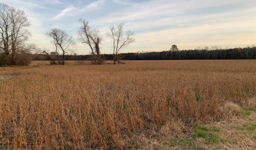 Photo #10 of Lot 7 WATERSIDE DR, NEW CHURCH, VA 5.1 acres