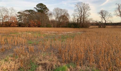 Photo #11 of Lot 7 WATERSIDE DR, NEW CHURCH, VA 5.1 acres