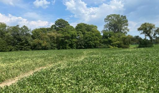 Photo #12 of Lot 7 WATERSIDE DR, NEW CHURCH, VA 5.1 acres