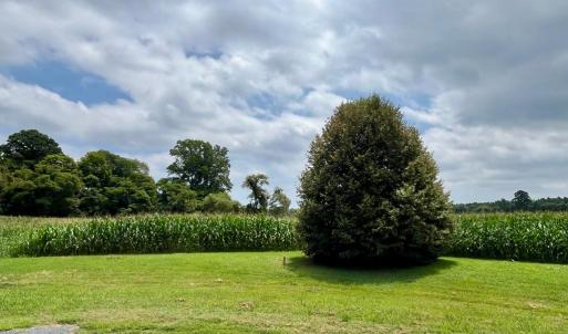 Photo #3 of Lot 7 WATERSIDE DR, NEW CHURCH, VA 5.1 acres