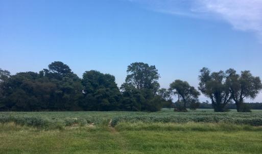 Photo #9 of Lot 7 WATERSIDE DR, NEW CHURCH, VA 5.1 acres