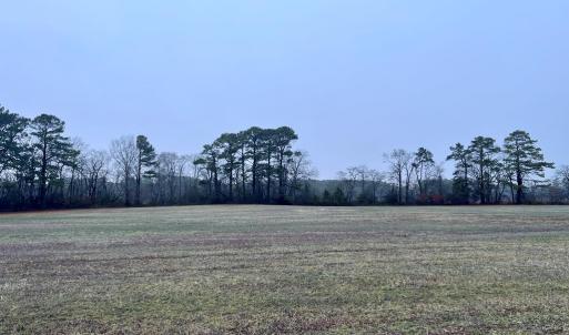 Photo #10 of Lot 10 WATERSIDE DR, NEW CHURCH, VA 1.1 acres