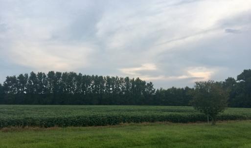 Photo #8 of Lot 10 WATERSIDE DR, NEW CHURCH, VA 1.1 acres