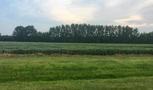 Photo #9 of Lot 10 WATERSIDE DR, NEW CHURCH, VA 1.1 acres