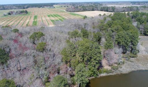 Photo #14 of Lot 3 TERRAPIN STATION RD, BELLE HAVEN, VA 5.9 acres