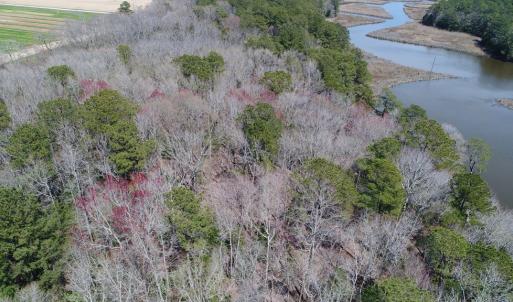 Photo #15 of Lot 3 TERRAPIN STATION RD, BELLE HAVEN, VA 5.9 acres