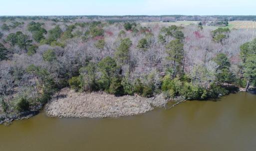 Photo #9 of Lot 3 TERRAPIN STATION RD, BELLE HAVEN, VA 5.9 acres