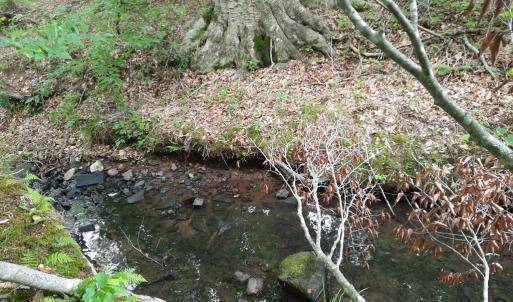 Photo #7 of Chappell Trail, Vernon Hill, VA 83.7 acres