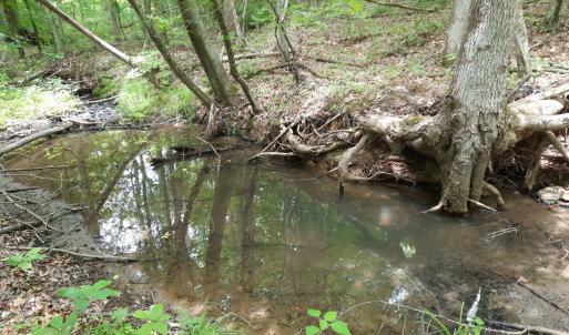 Photo #8 of Chappell Trail, Vernon Hill, VA 83.7 acres