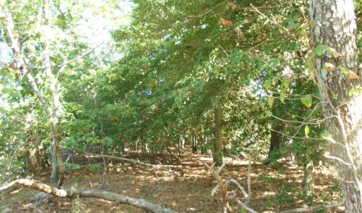 Photo #6 of 3391 VAUCLUSE LN, MACHIPONGO, VA 0.5 acres