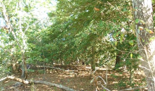 Photo #6 of 3391 VAUCLUSE LN, MACHIPONGO, VA 0.5 acres