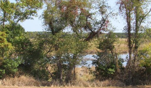 Photo #2 of Lot 8 BAY WATCH DR, NEW CHURCH, VA 3.4 acres