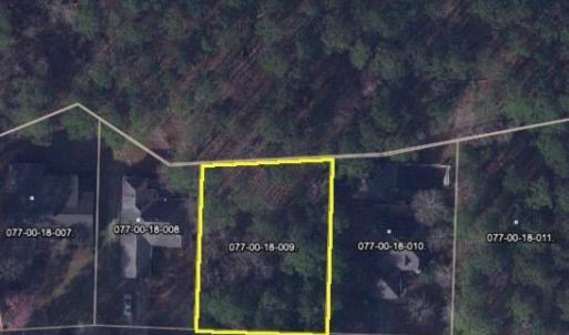 Image 7-13-23 at 10.21 PM