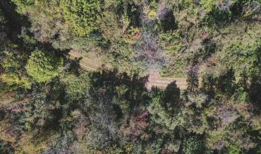 Photo #11 of 1435 Brewster Hollow Road, Bandy, VA 756.0 acres