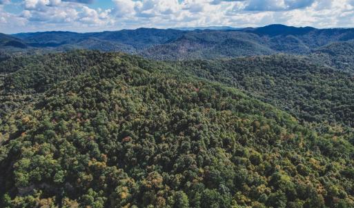 Photo #13 of 1435 Brewster Hollow Road, Bandy, VA 756.0 acres