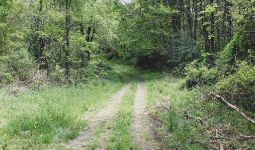 Photo #17 of 1435 Brewster Hollow Road, Bandy, VA 756.0 acres