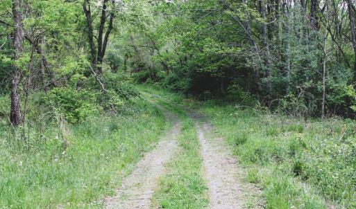 Photo #27 of 1435 Brewster Hollow Road, Bandy, VA 756.0 acres