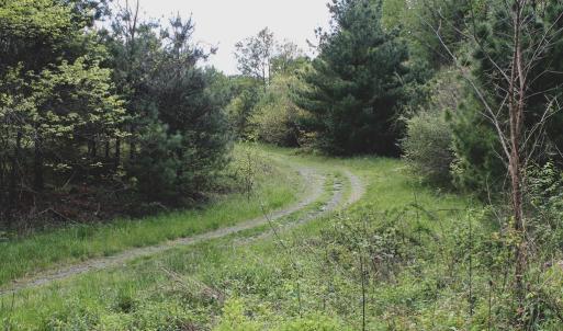 Photo #31 of 1435 Brewster Hollow Road, Bandy, VA 756.0 acres
