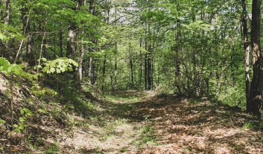 Photo #32 of 1435 Brewster Hollow Road, Bandy, VA 756.0 acres