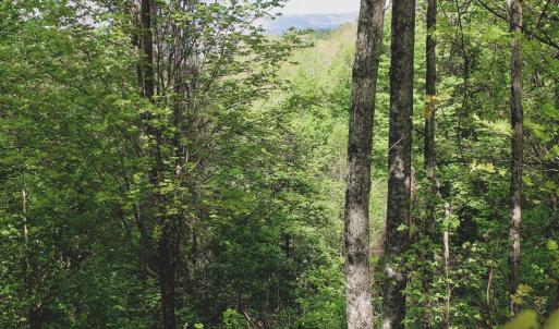 Photo #36 of 1435 Brewster Hollow Road, Bandy, VA 756.0 acres