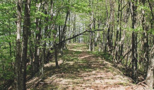 Photo #39 of 1435 Brewster Hollow Road, Bandy, VA 756.0 acres