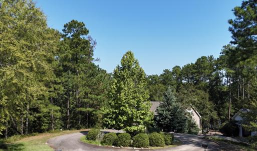 Hummingbird Cul de sac