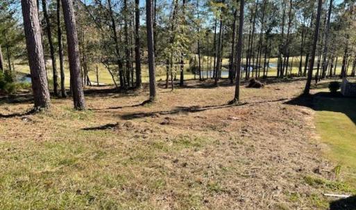 IMG_20241022_111240~2